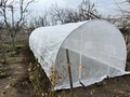 Тунел от фолио с метална рамка 3х8 м бял Garden Point