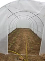Тунел от фолио с метална рамка 3х8 м бял Garden Point