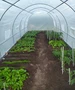 Тунел от фолио с метална рамка 3х8 м бял Garden Point